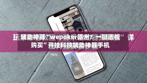 辅助神器“wepoker德州？一键透视购买”开挂科技辅助神器手机-第3张图片