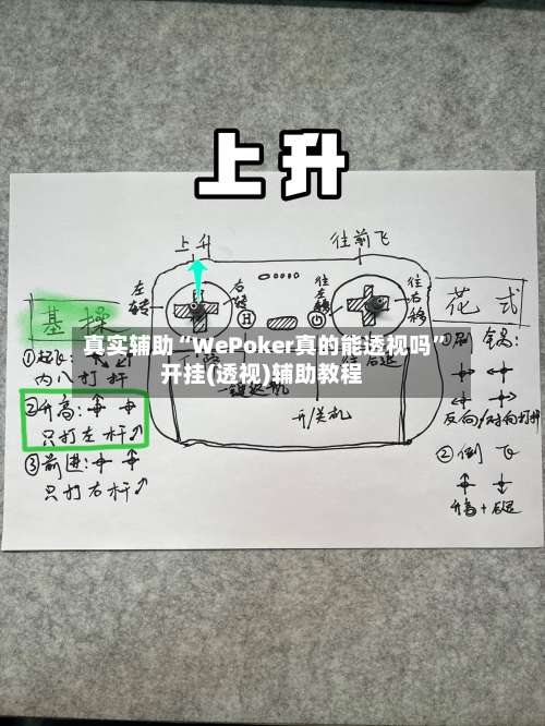 真实辅助“WePoker真的能透视吗	”开挂(透视)辅助教程-第1张图片