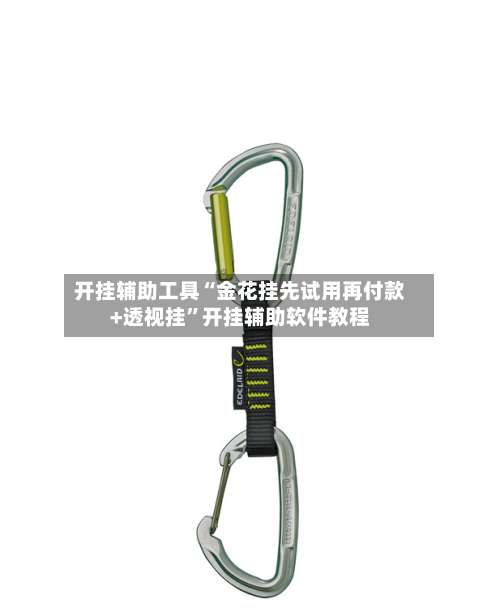 开挂辅助工具“金花挂先试用再付款+透视挂”开挂辅助软件教程-第1张图片