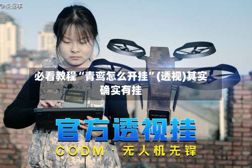 必看教程“青鸾怎么开挂”(透视)其实确实有挂-第1张图片