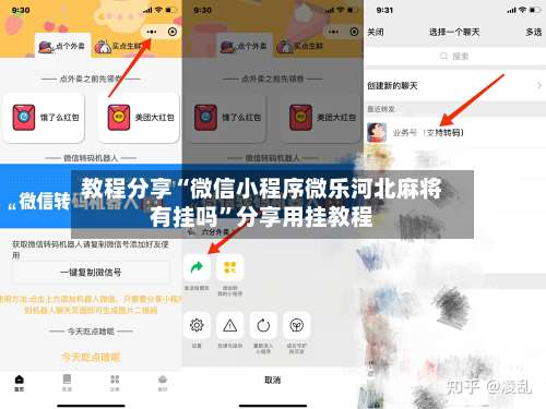 教程分享“微信小程序微乐河北麻将有挂吗”分享用挂教程-第3张图片