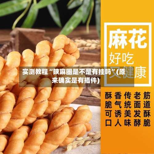 实测教程“陕麻圈是不是有挂吗”(原来确实是有插件)-第1张图片