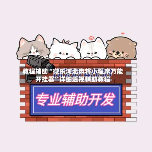 教程辅助“微乐河北麻将小程序万能开挂器	”详细透视辅助教程-第1张图片