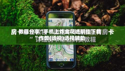 教程分享“手机上炸金花透明挂下载”作弊(透视)透视辅助-第1张图片