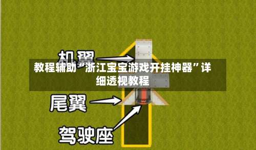 教程辅助“浙江宝宝游戏开挂神器”详细透视教程-第3张图片