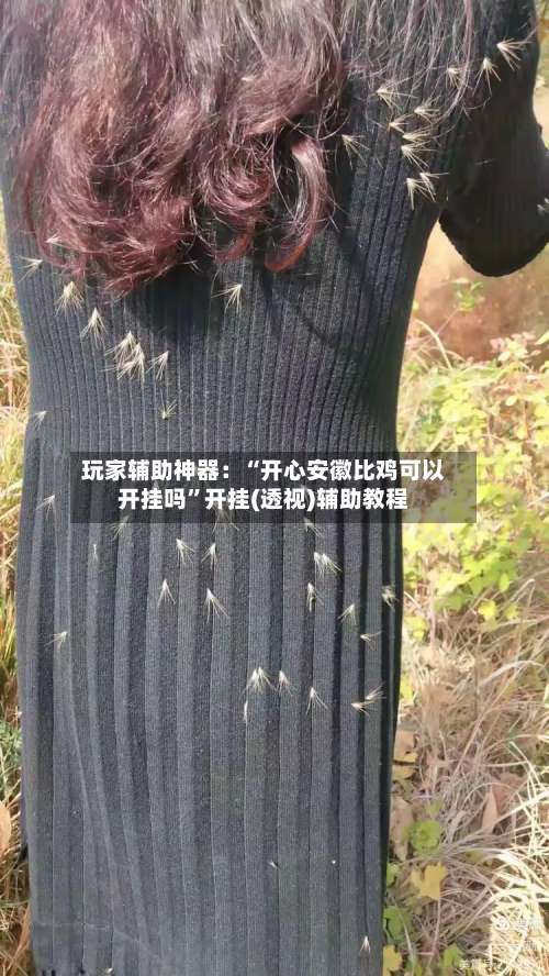 玩家辅助神器：“开心安徽比鸡可以开挂吗”开挂(透视)辅助教程-第1张图片