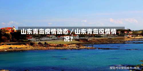山东青岛疫情动态／山东青岛役情情况？-第2张图片