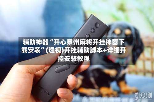 辅助神器“开心泉州麻将开挂神器下载安装”(透视)开挂辅助脚本+详细开挂安装教程-第3张图片