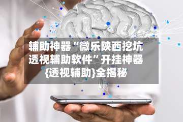 辅助神器“微乐陕西挖坑透视辅助软件”开挂神器{透视辅助}全揭秘-第3张图片