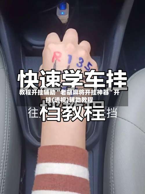 教程开挂辅助“老胡麻将开挂神器”开挂(透视)辅助教程-第1张图片