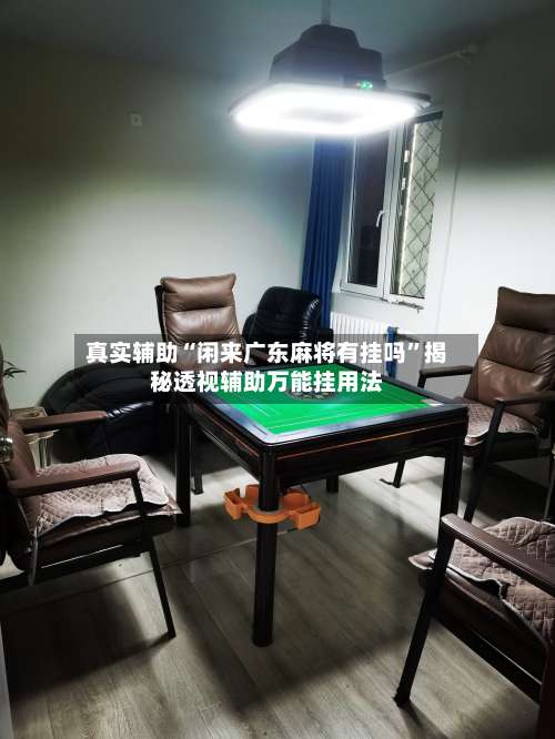 真实辅助“闲来广东麻将有挂吗”揭秘透视辅助万能挂用法-第1张图片