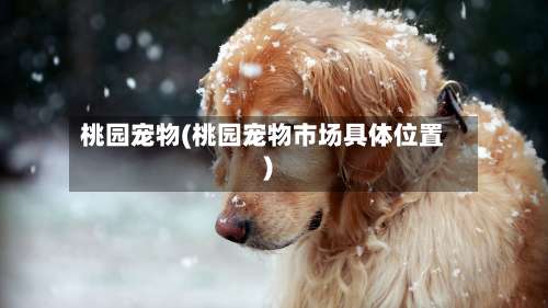 桃园宠物(桃园宠物市场具体位置)-第1张图片