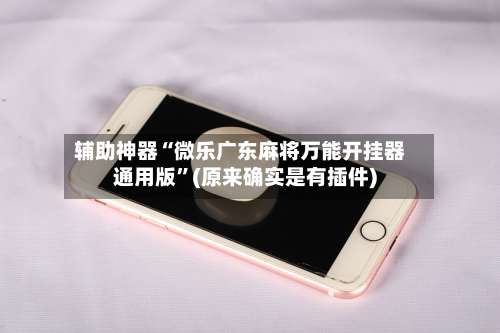 辅助神器“微乐广东麻将万能开挂器通用版	”(原来确实是有插件)-第2张图片