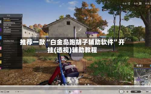 推荐一款“白金岛跑胡子辅助软件	”开挂(透视)辅助教程-第1张图片