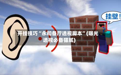 开挂技巧“永和备厅透视脚本”(曝光透视必备猫腻)-第1张图片