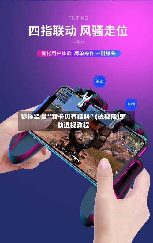 秒懂经验“新卡贝有挂吗”(透视挂)辅助透视教程-第3张图片