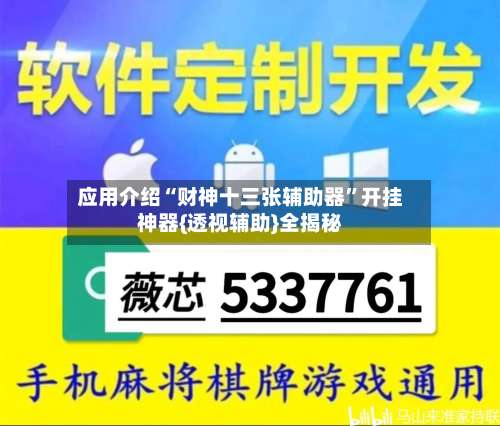 应用介绍“财神十三张辅助器	”开挂神器{透视辅助}全揭秘-第2张图片