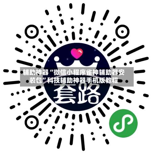 辅助神器“微信小程序雀神辅助器安装包”科技辅助神器手机版教程-第3张图片