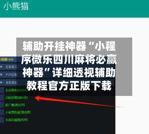 辅助开挂神器“小程序微乐四川麻将必赢神器”详细透视辅助教程官方正版下载-第2张图片