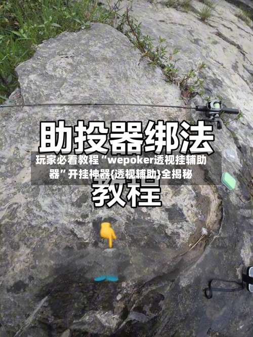 玩家必看教程“wepoker透视挂辅助器”开挂神器{透视辅助}全揭秘-第3张图片