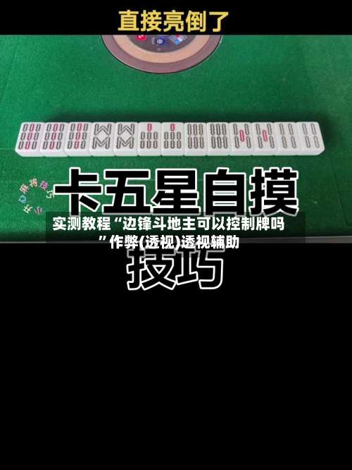 实测教程“边锋斗地主可以控制牌吗”作弊(透视)透视辅助-第1张图片