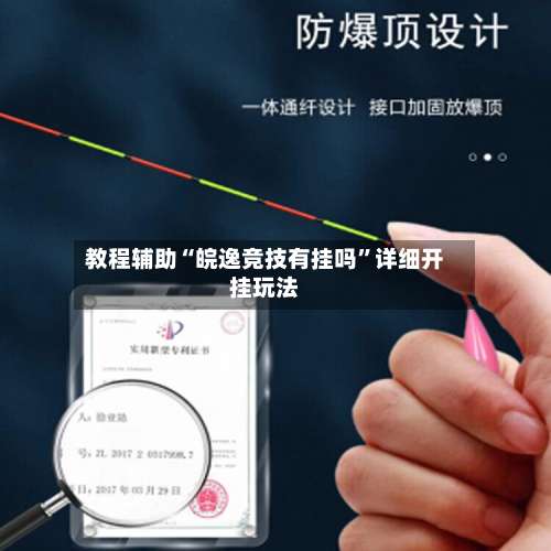 教程辅助“皖逸竞技有挂吗”详细开挂玩法-第3张图片