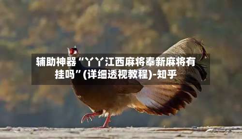 辅助神器“丫丫江西麻将奉新麻将有挂吗”(详细透视教程)-知乎-第1张图片