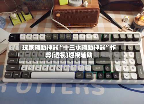 玩家辅助神器“十三水辅助神器”作弊(透视)透视辅助-第2张图片