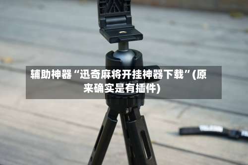 辅助神器“迅奇麻将开挂神器下载”(原来确实是有插件)-第2张图片