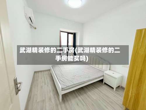 武湖精装修的二手房(武湖精装修的二手房能买吗)-第2张图片