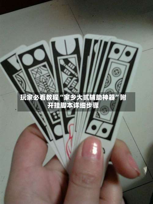 玩家必看教程“家乡大贰辅助神器	”附开挂脚本详细步骤-第2张图片