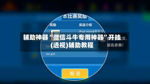 辅助神器“微信斗牛专用神器”开挂(透视)辅助教程-第2张图片