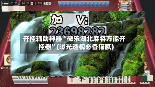 开挂辅助神器“微乐湖北麻将万能开挂器	”(曝光透视必备猫腻)-第2张图片