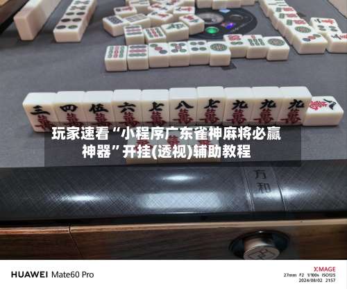 玩家速看“小程序广东雀神麻将必赢神器”开挂(透视)辅助教程-第1张图片