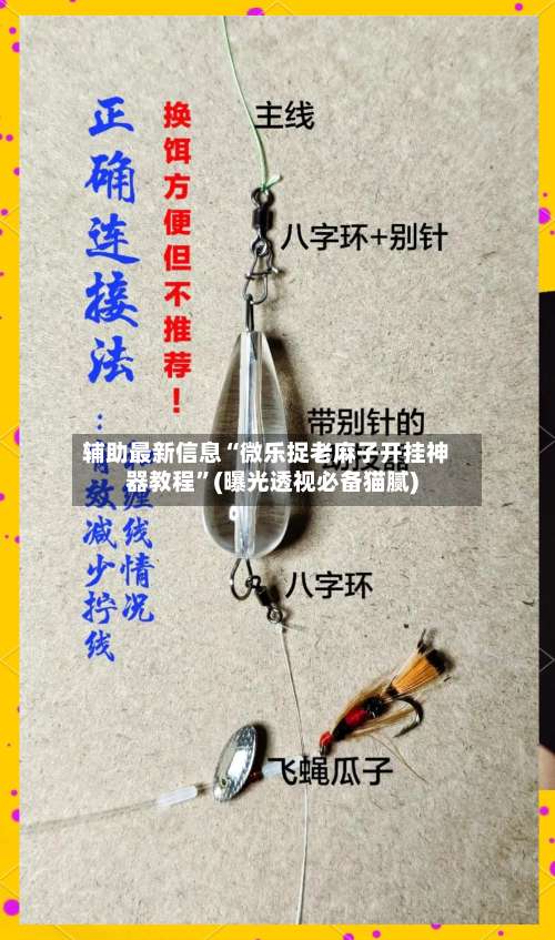 辅助最新信息“微乐捉老麻子开挂神器教程”(曝光透视必备猫腻)-第2张图片