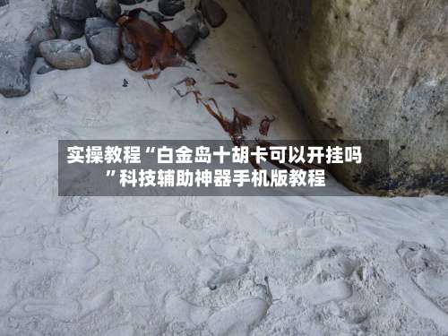 实操教程“白金岛十胡卡可以开挂吗”科技辅助神器手机版教程-第3张图片