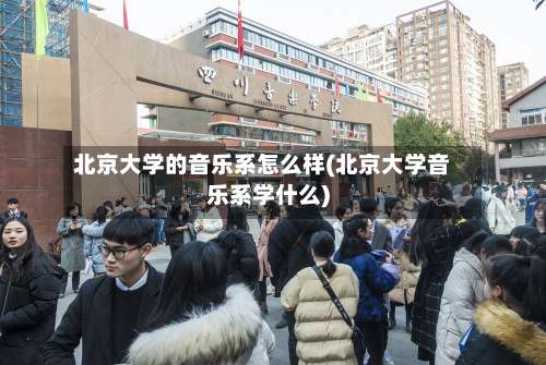 北京大学的音乐系怎么样(北京大学音乐系学什么)-第1张图片