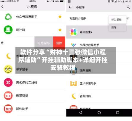 软件分享“财神十三张微信小程序辅助”开挂辅助脚本+详细开挂安装教程-第1张图片