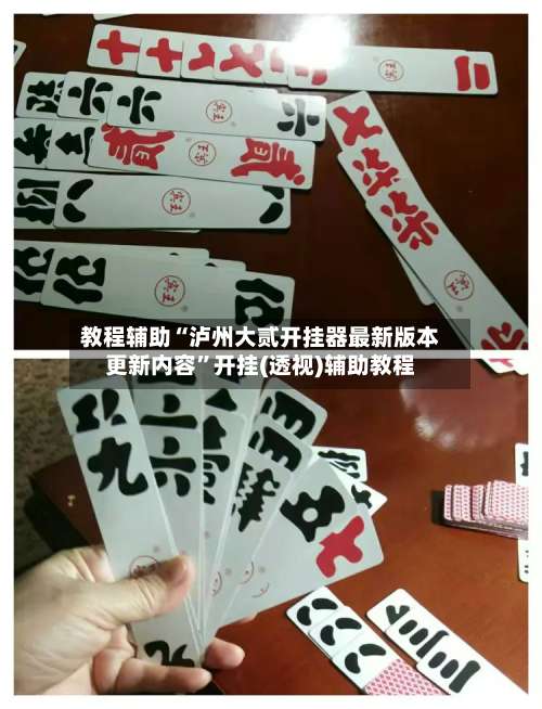 教程辅助“泸州大贰开挂器最新版本更新内容”开挂(透视)辅助教程-第3张图片