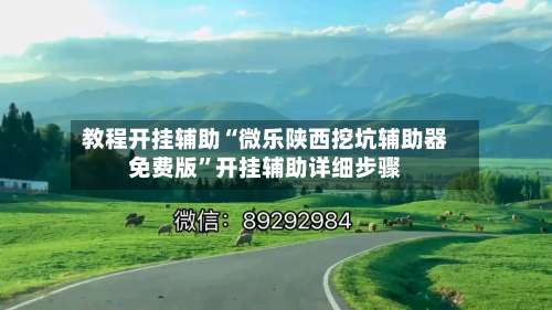 教程开挂辅助“微乐陕西挖坑辅助器免费版”开挂辅助详细步骤-第2张图片