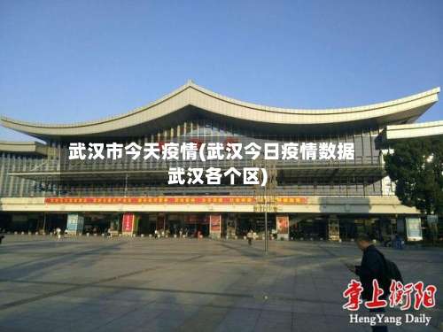 武汉市今天疫情(武汉今日疫情数据武汉各个区)-第3张图片