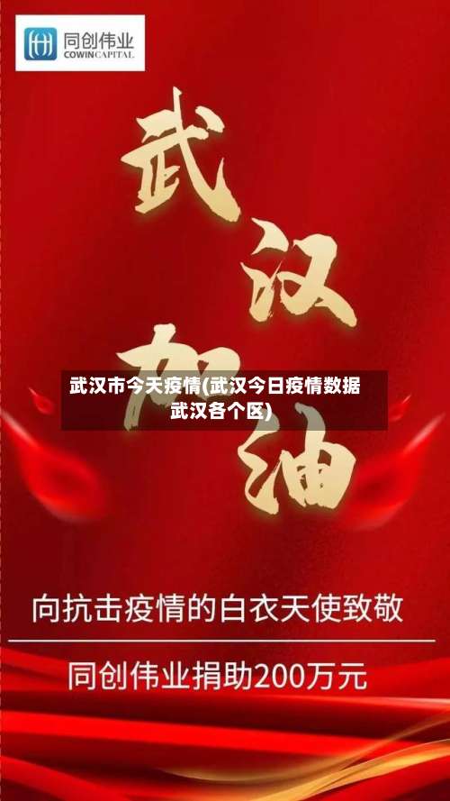 武汉市今天疫情(武汉今日疫情数据武汉各个区)-第1张图片