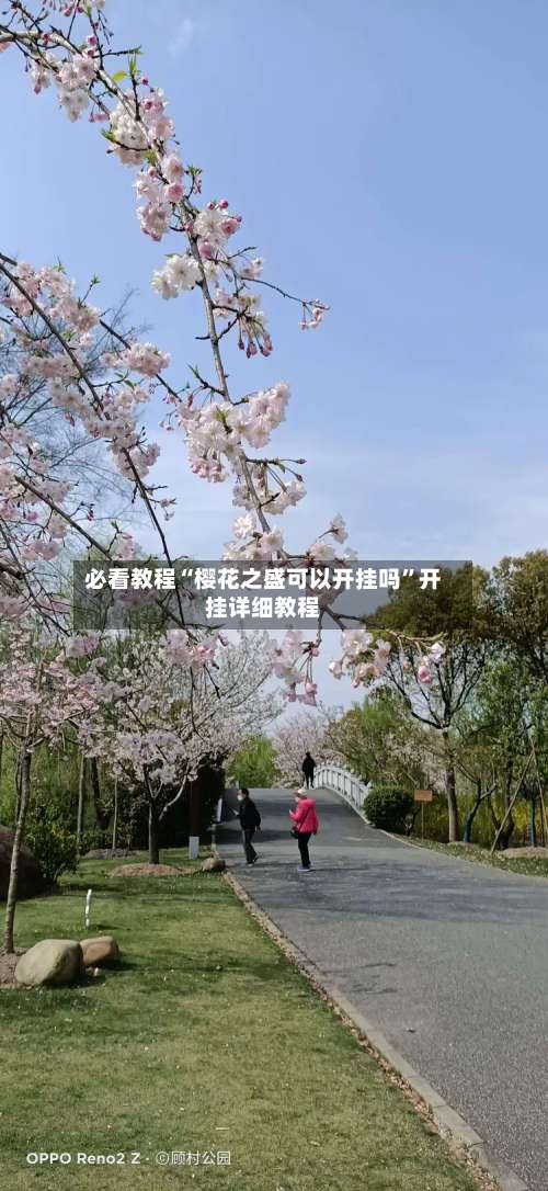 必看教程“樱花之盛可以开挂吗”开挂详细教程-第1张图片