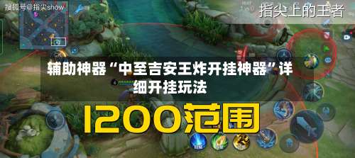辅助神器“中至吉安王炸开挂神器	”详细开挂玩法-第1张图片