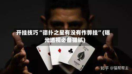 开挂技巧“德扑之星有没有作弊挂”(曝光透视必备猫腻)-第2张图片