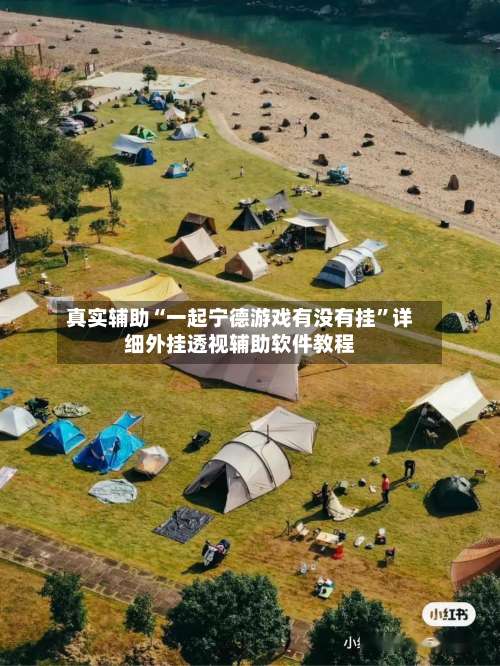 真实辅助“一起宁德游戏有没有挂”详细外挂透视辅助软件教程-第3张图片