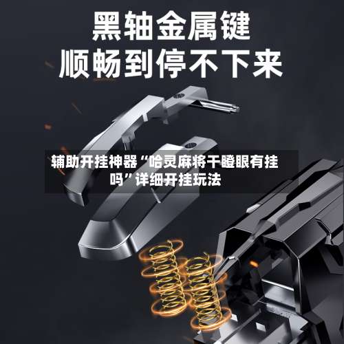 辅助开挂神器“哈灵麻将干瞪眼有挂吗”详细开挂玩法-第1张图片