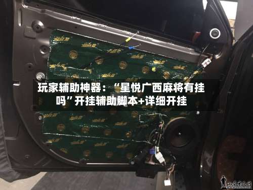 玩家辅助神器：“星悦广西麻将有挂吗	”开挂辅助脚本+详细开挂-第3张图片