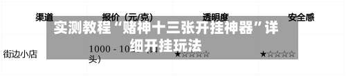 实测教程“赌神十三张开挂神器	”详细开挂玩法-第2张图片