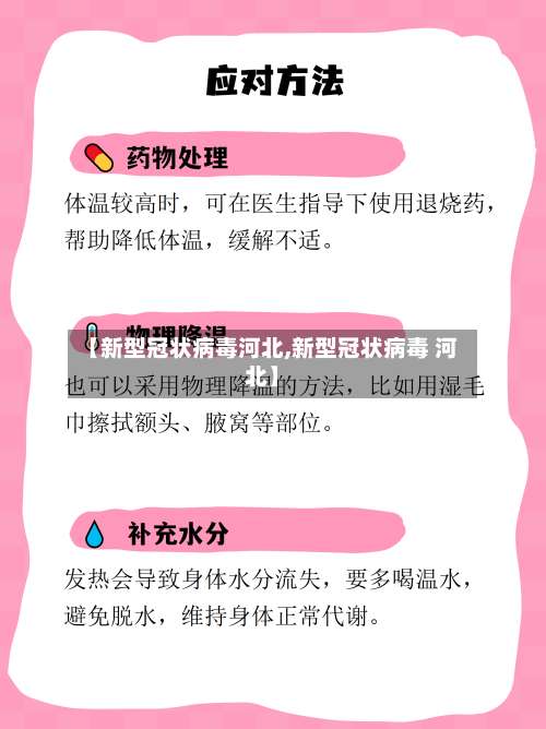 【新型冠状病毒河北,新型冠状病毒 河北】-第2张图片